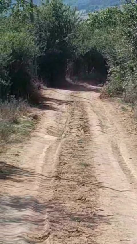 @Elgün Əlizadə