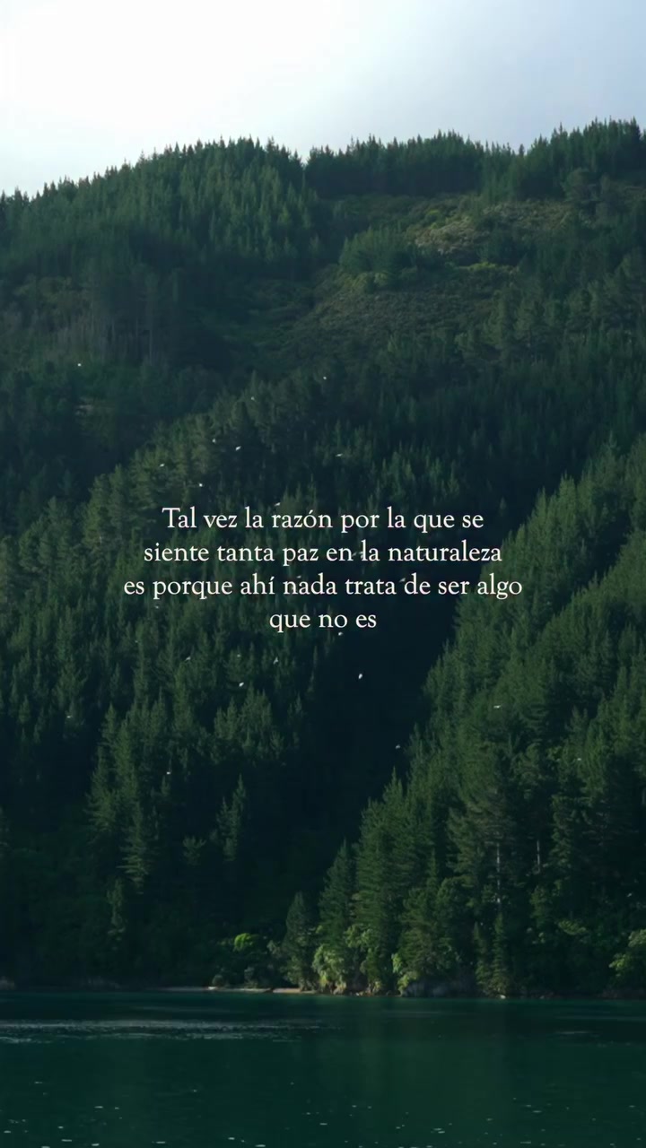 @lilyluna ᥫᩣ✨🌙