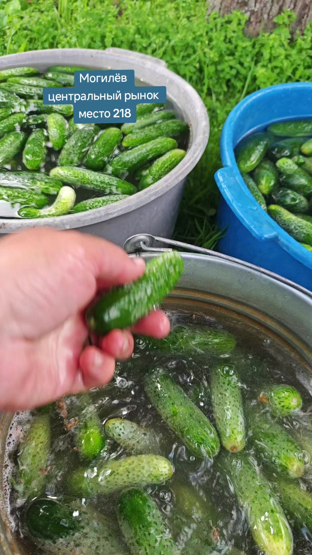 @Картофель Могилёв