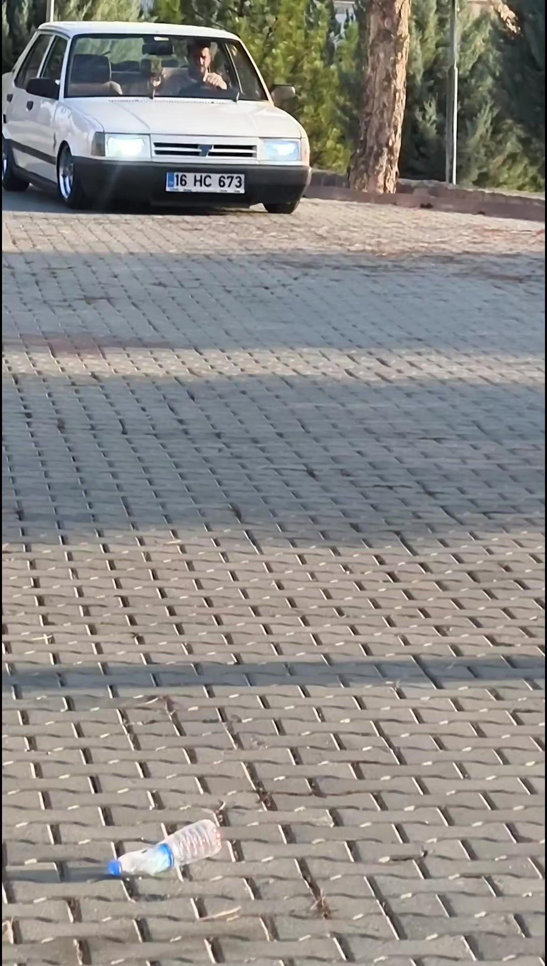@dogan s'in aga babası