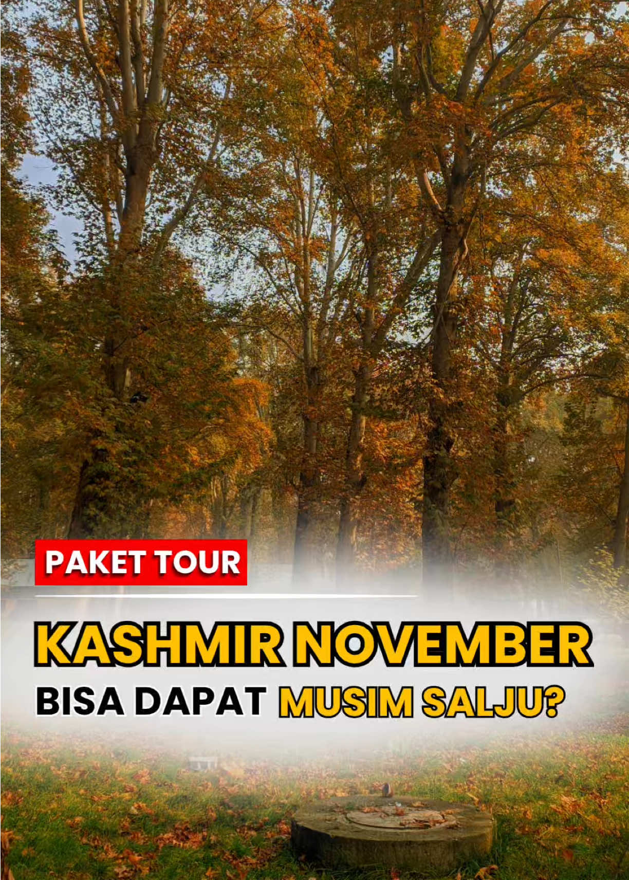@TRAVEL TRIP KASHMIR INDIA