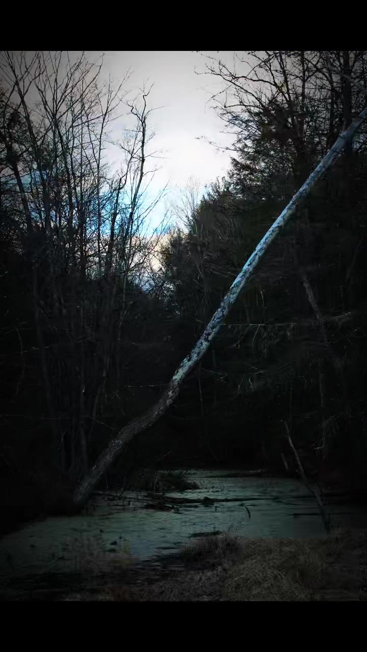 @Backyard Appalachia