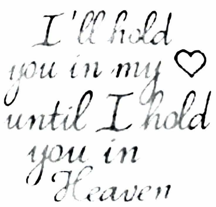 @aven o̴̶̷᷄ ‸ o̴̶̷̥᷅