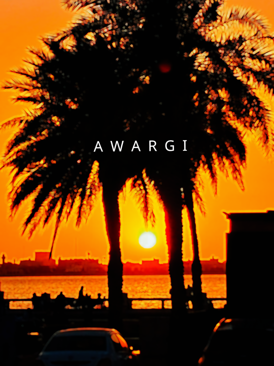 @Mein AWARA