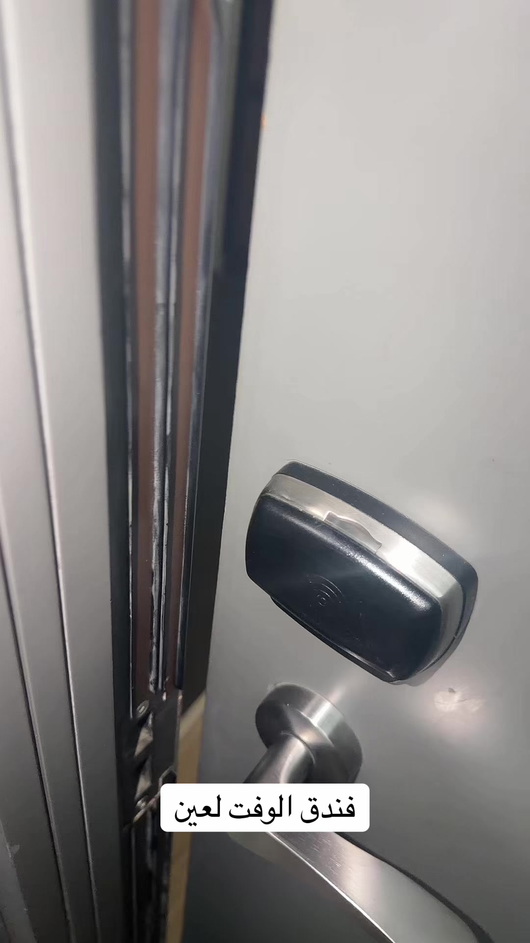 @نورة فيرزاتشي