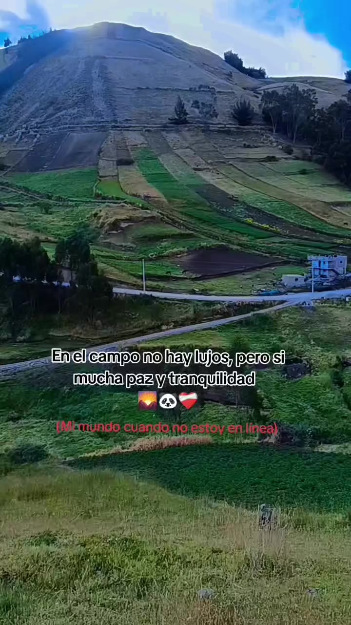 @EDWIN_FABIAN 🐦🔥🖤