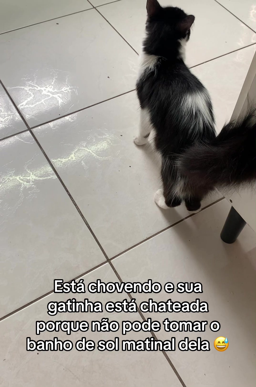 @Ketrin