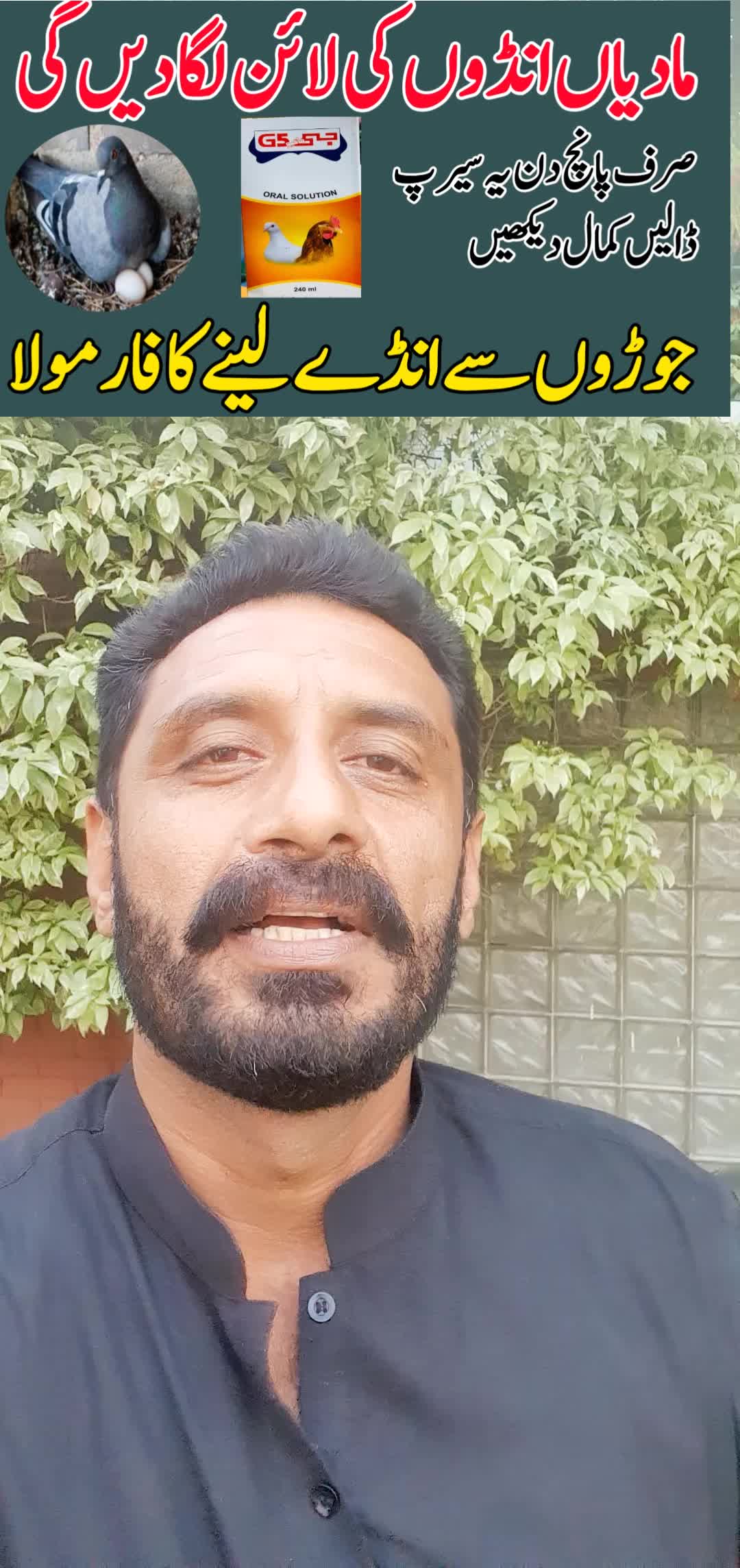 @KABOOTAR PARWAR VLOG