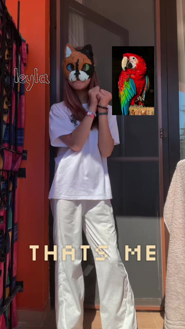@๐ชฒ โถโโค๐น๐ฒ๐๐น๐ฎ๐โ
๐ฟ