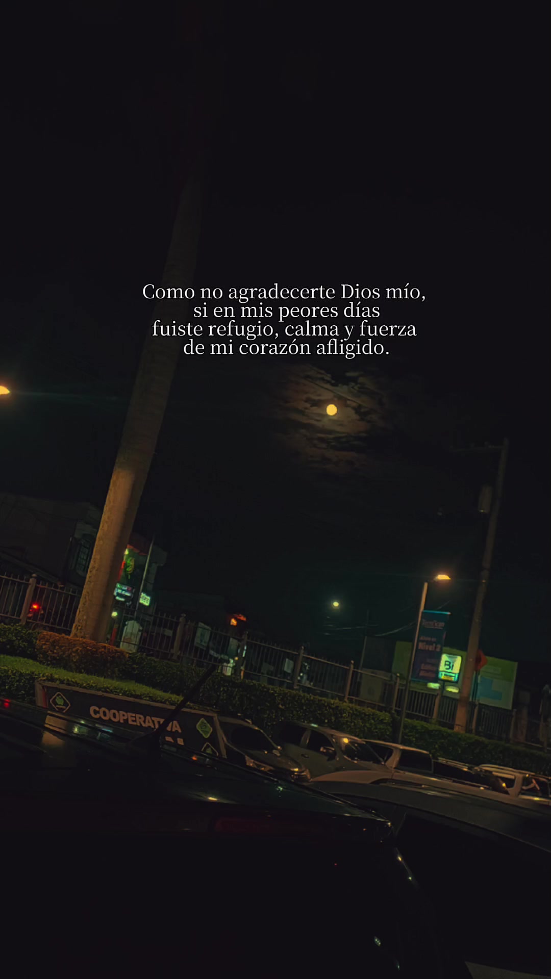 @Yoshua502🇬🇹