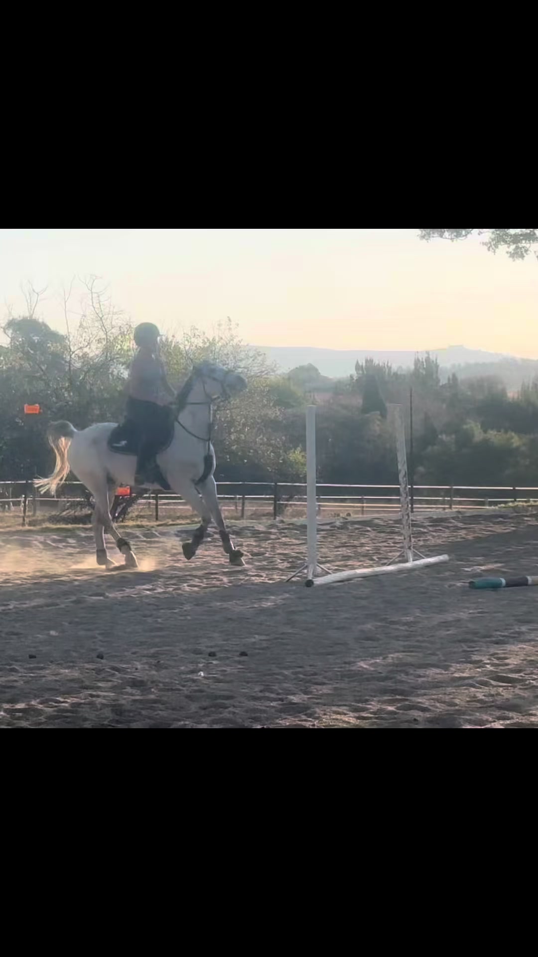 @Jay equestrian