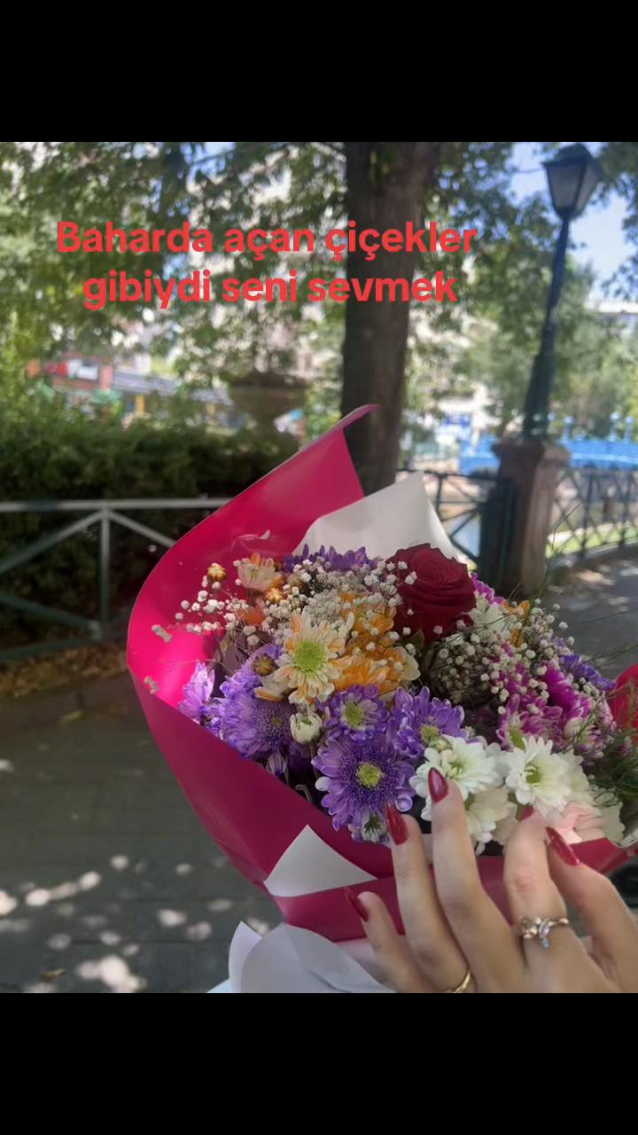 @Musa Eren K&ouml;se🤍