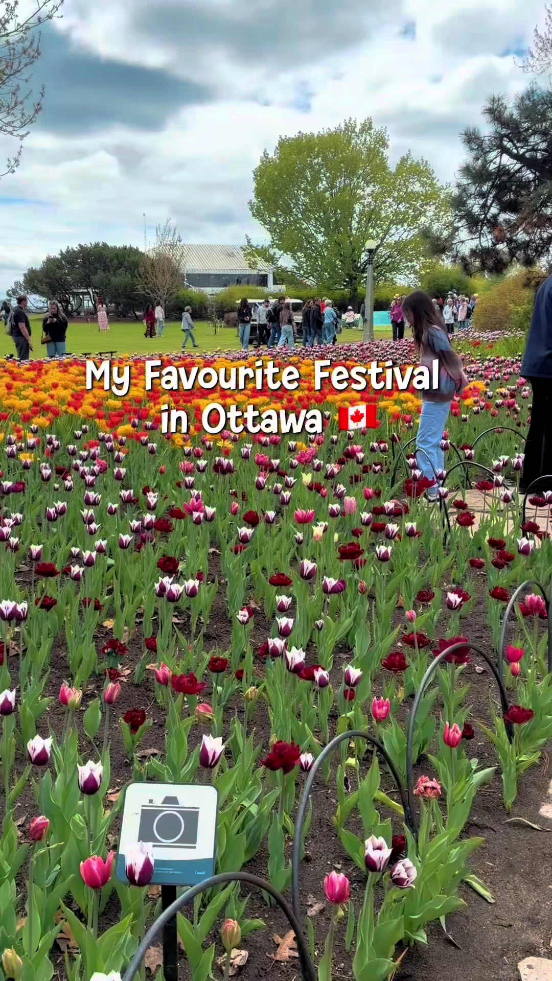 @TinCan🇨🇦