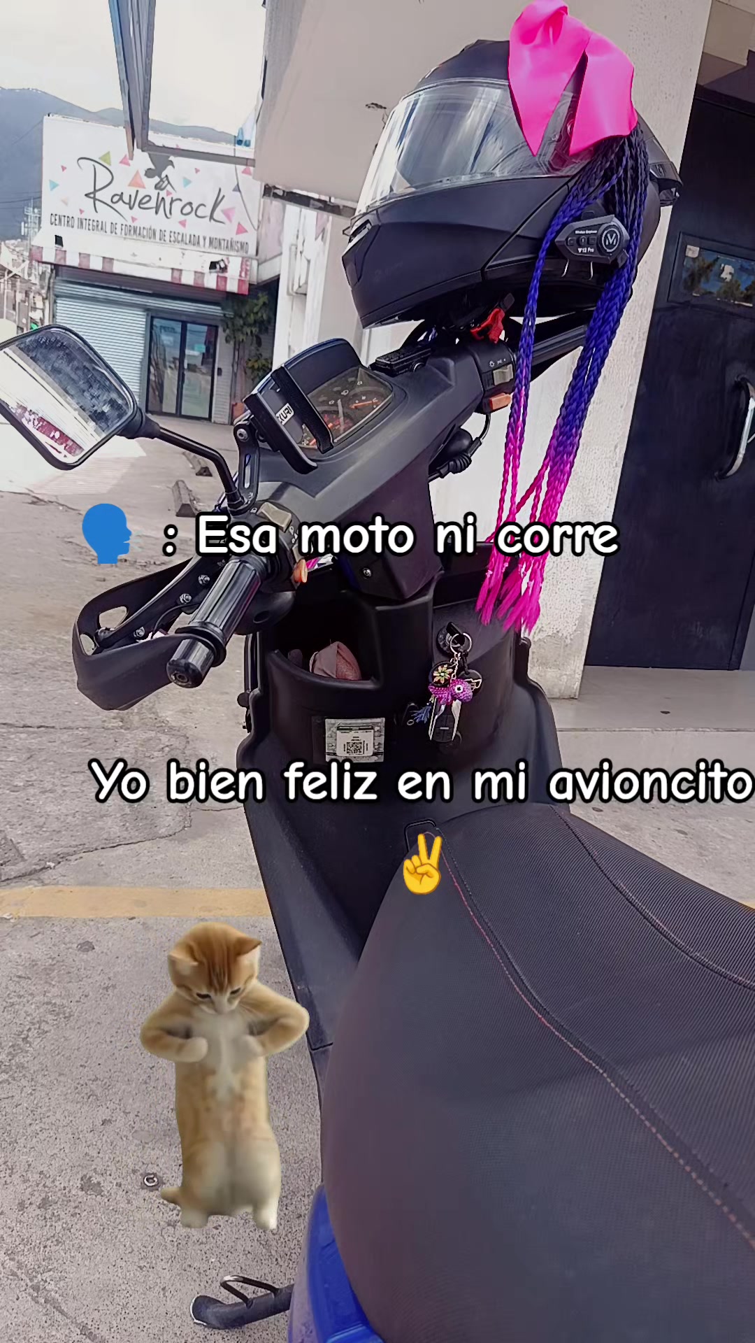 @Abii 🖤