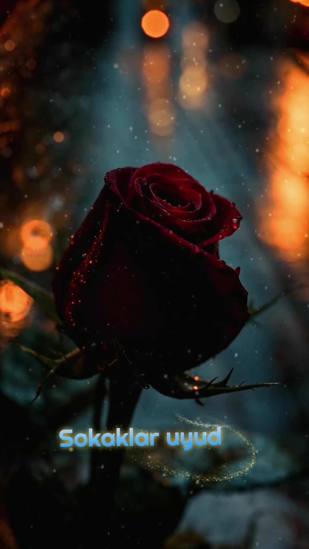 @Ayhan ayyıldız 🌙𐰚𐰃𐰾