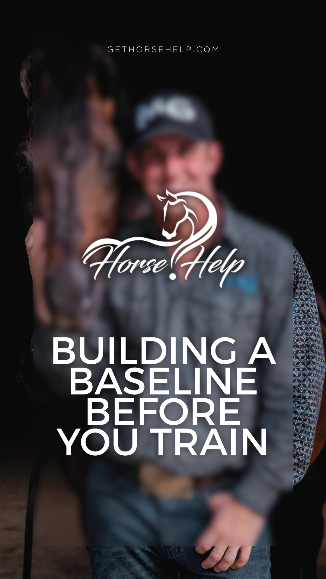 @Horse Help