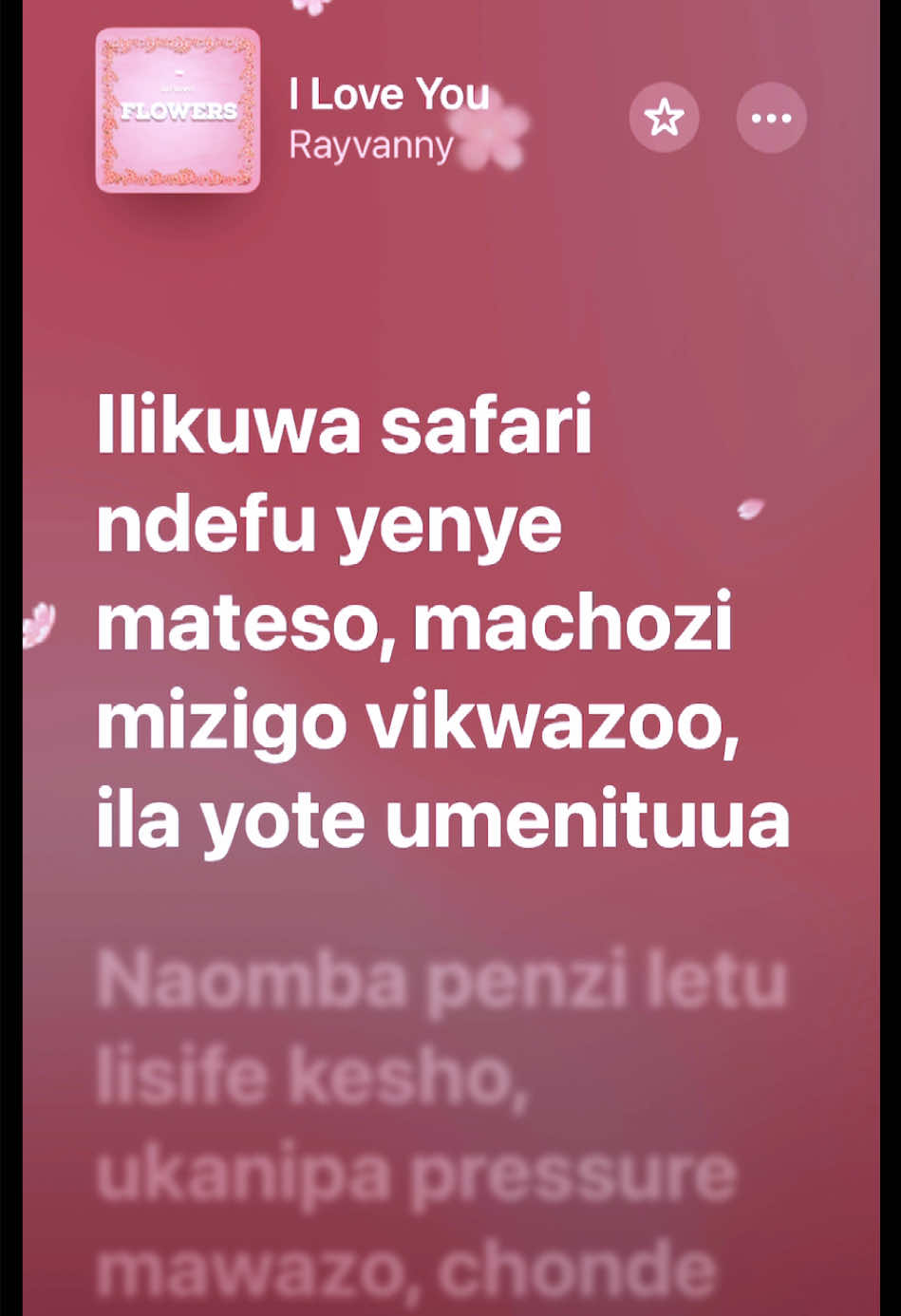@devotion.lyrics