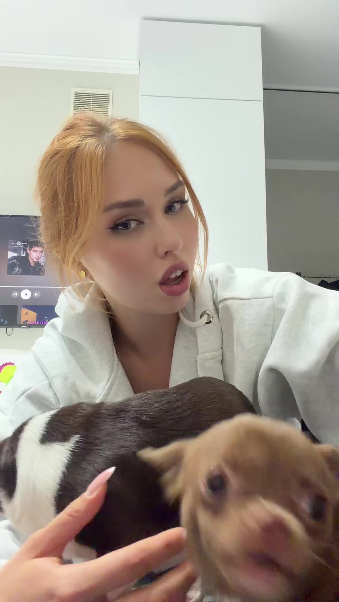 @Gonceatea