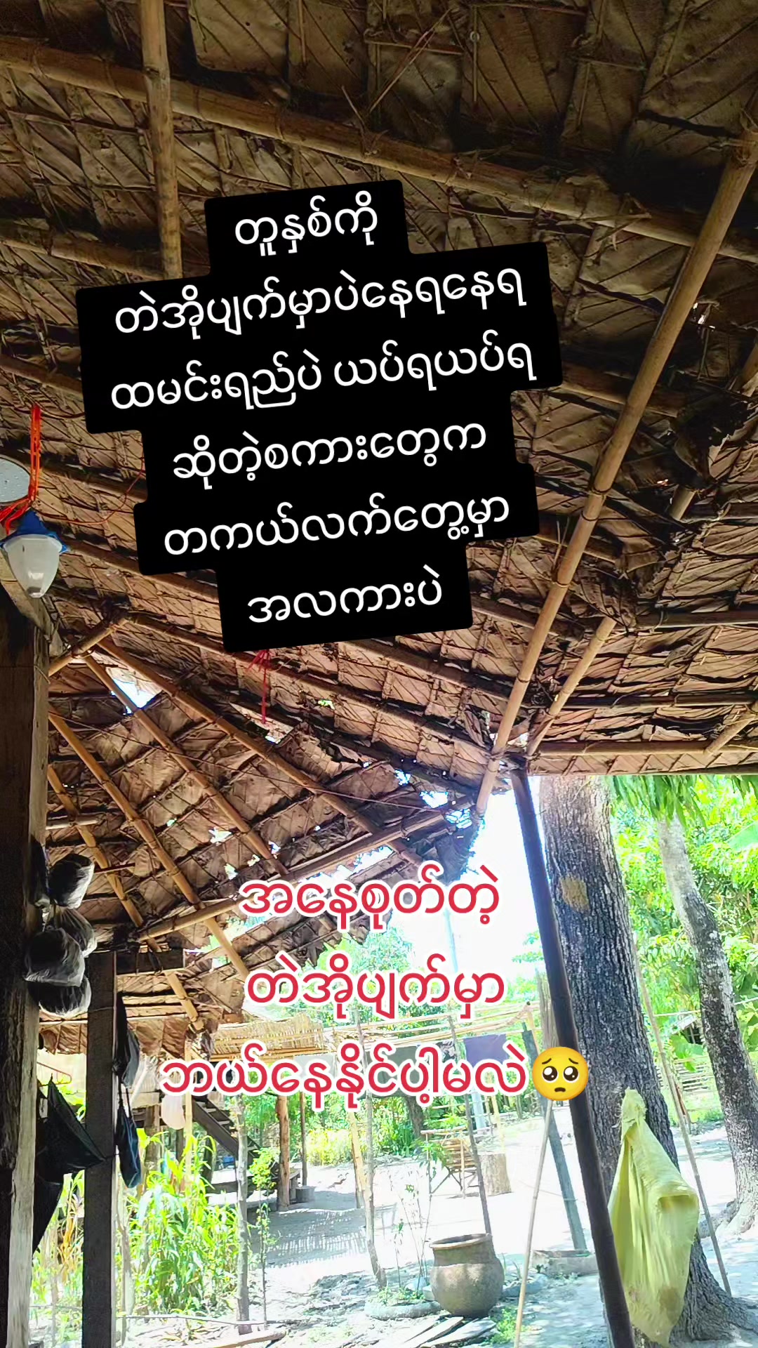 @🇲🇲နောင်လေး🇲🇲 ( TAUNGOO )