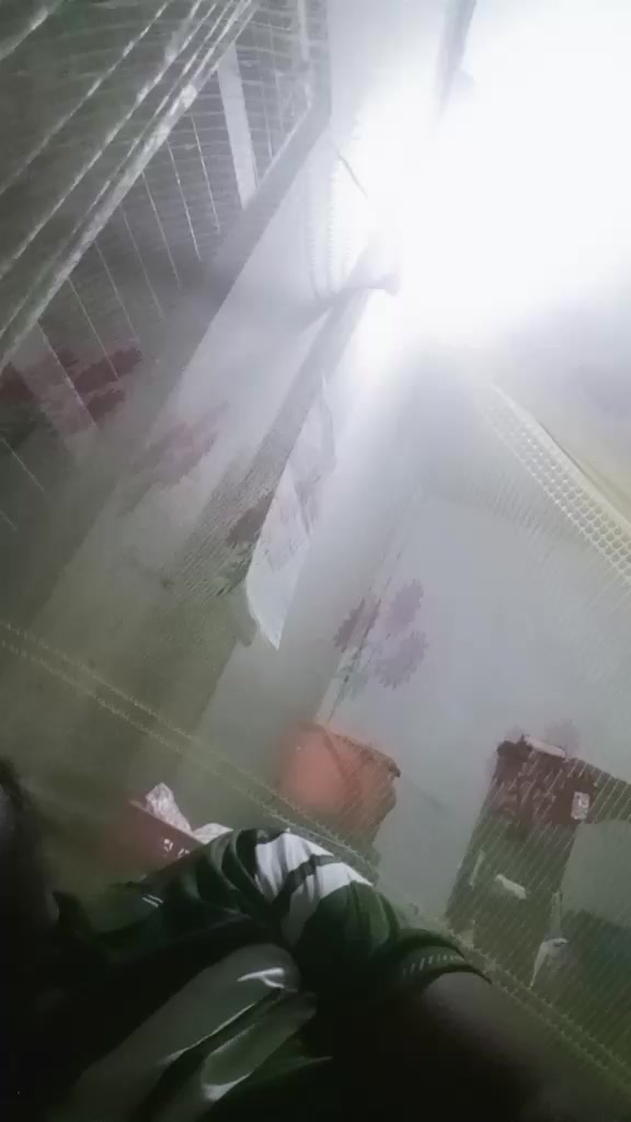 @মিথ্যা জীবন
