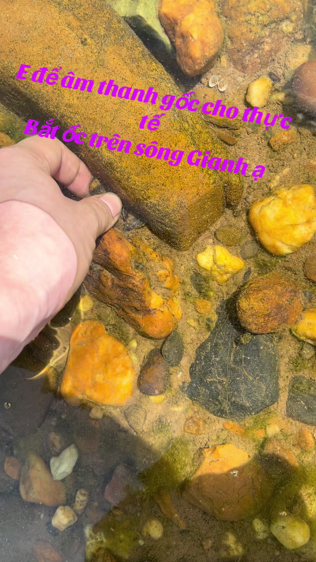@Ch&eacute;o fl uy t&iacute;n