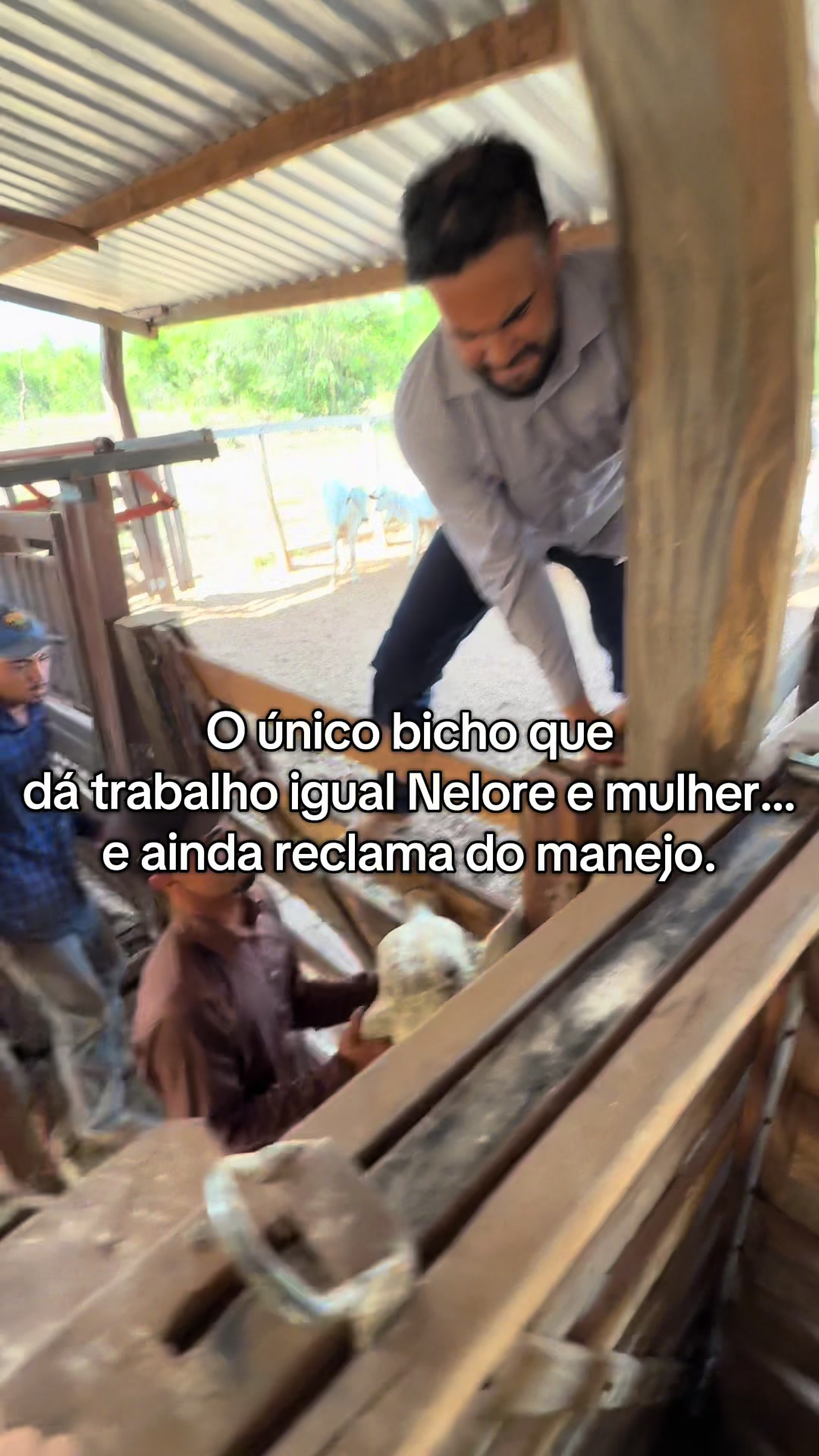 @fgalvao22