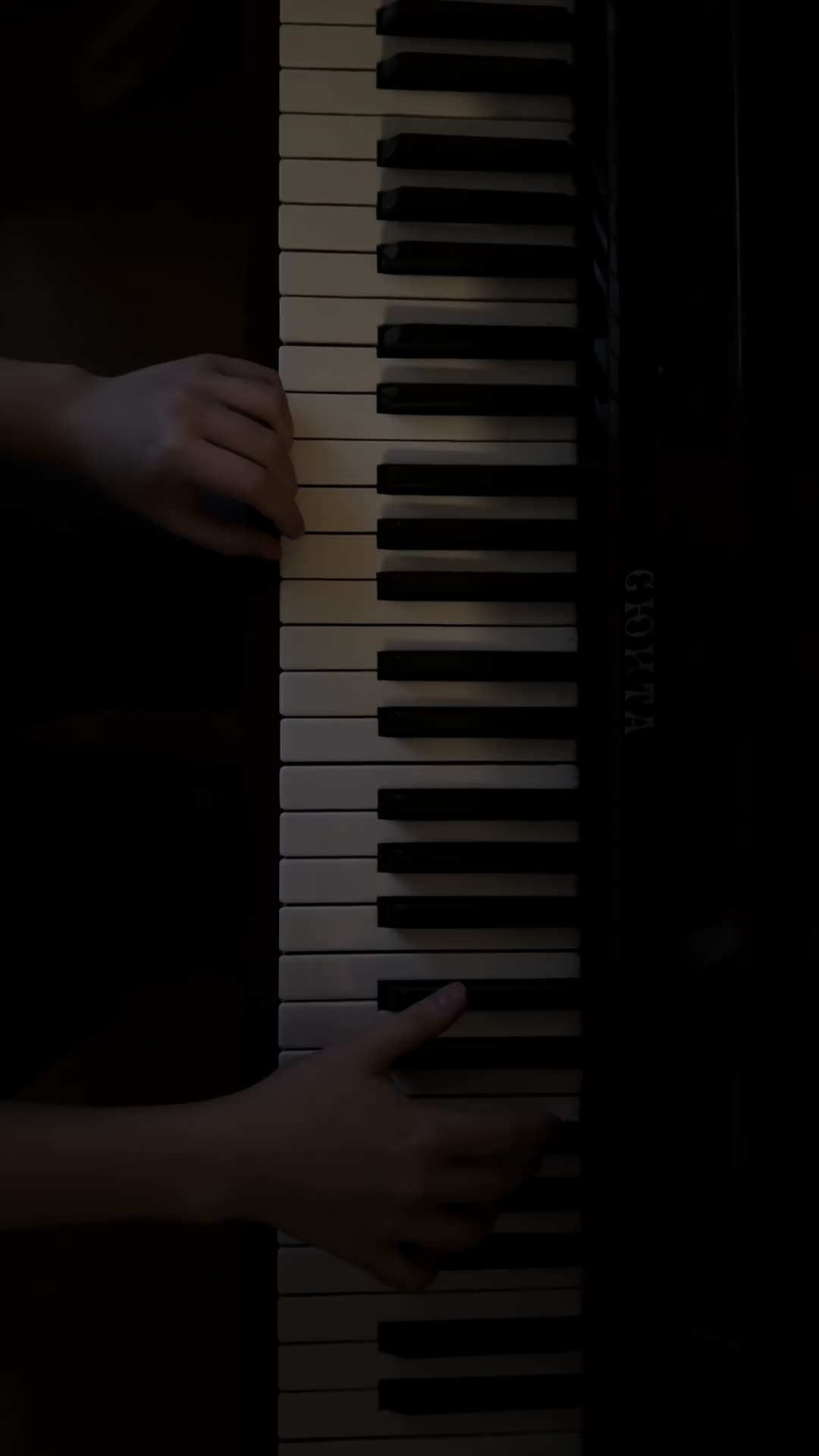 @elina