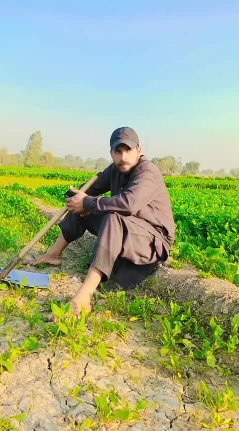 @M Ibrahim khalil kamoh