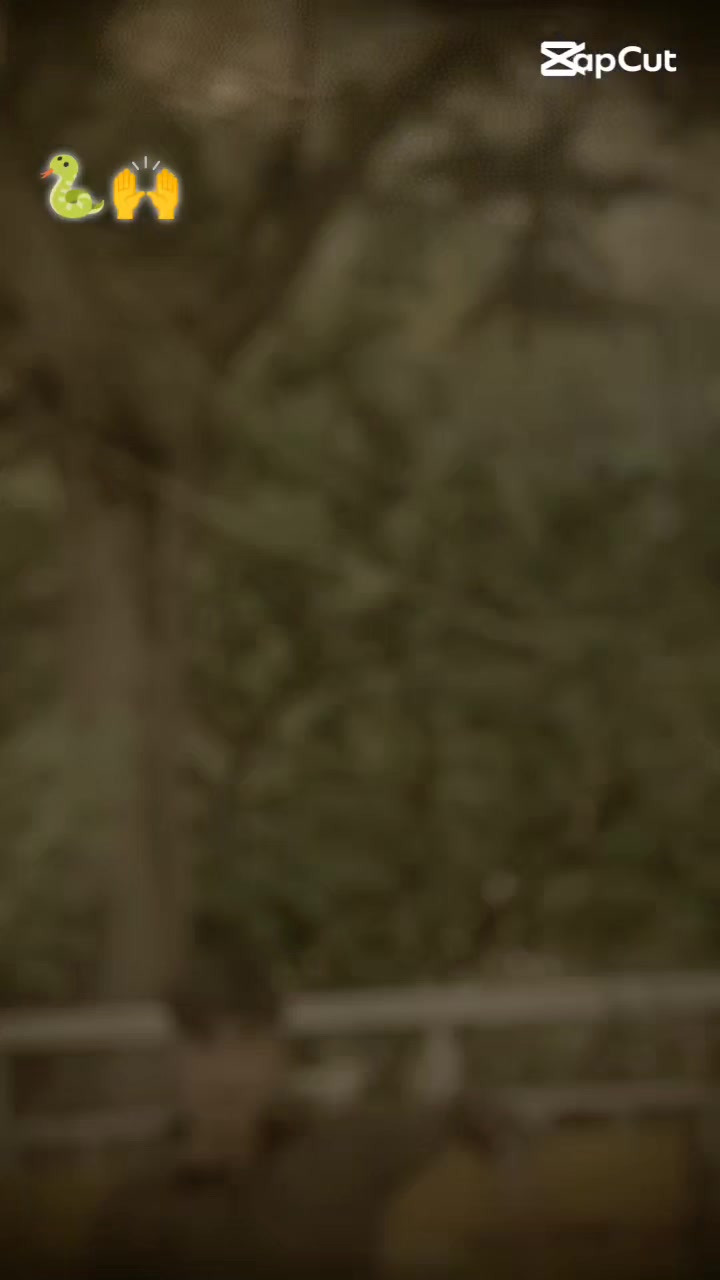 @صارم کہتے ہیں 🍁🦅