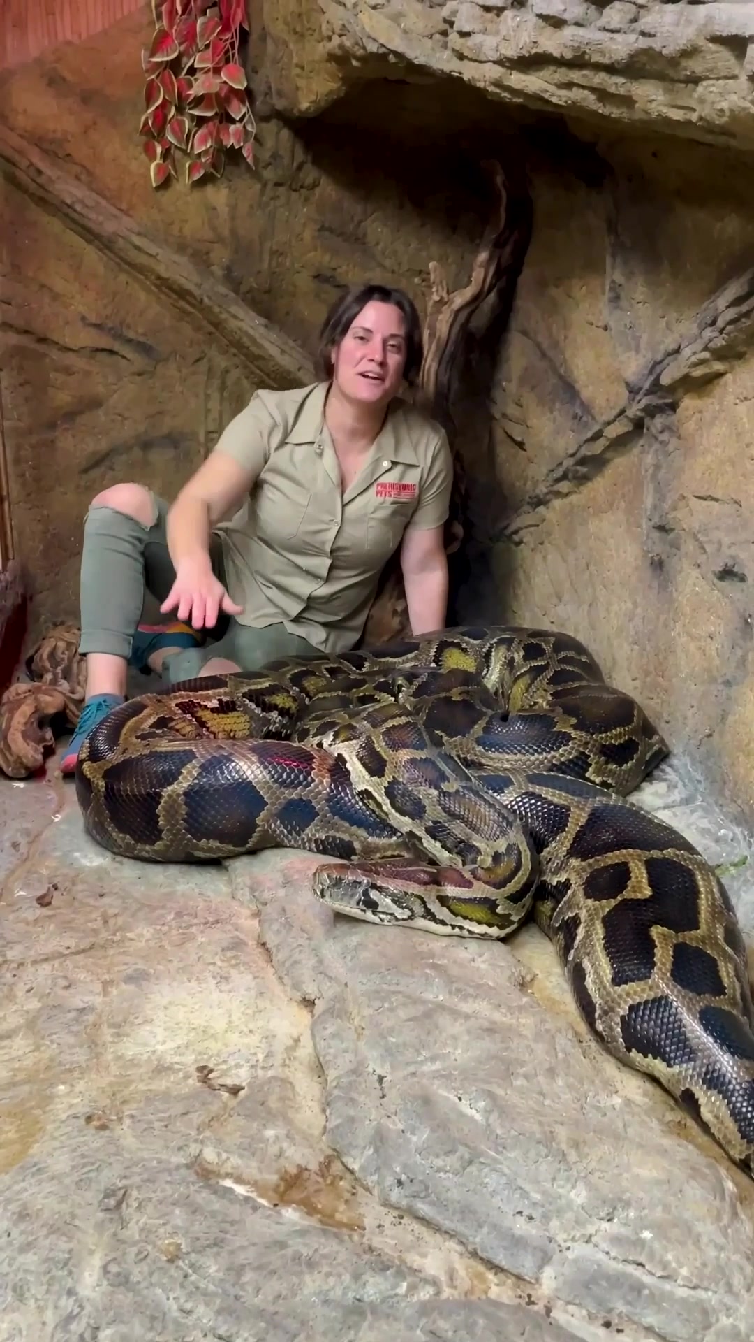 @The Reptile Zoo