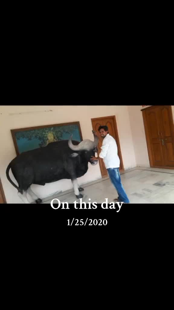@srinunayak431