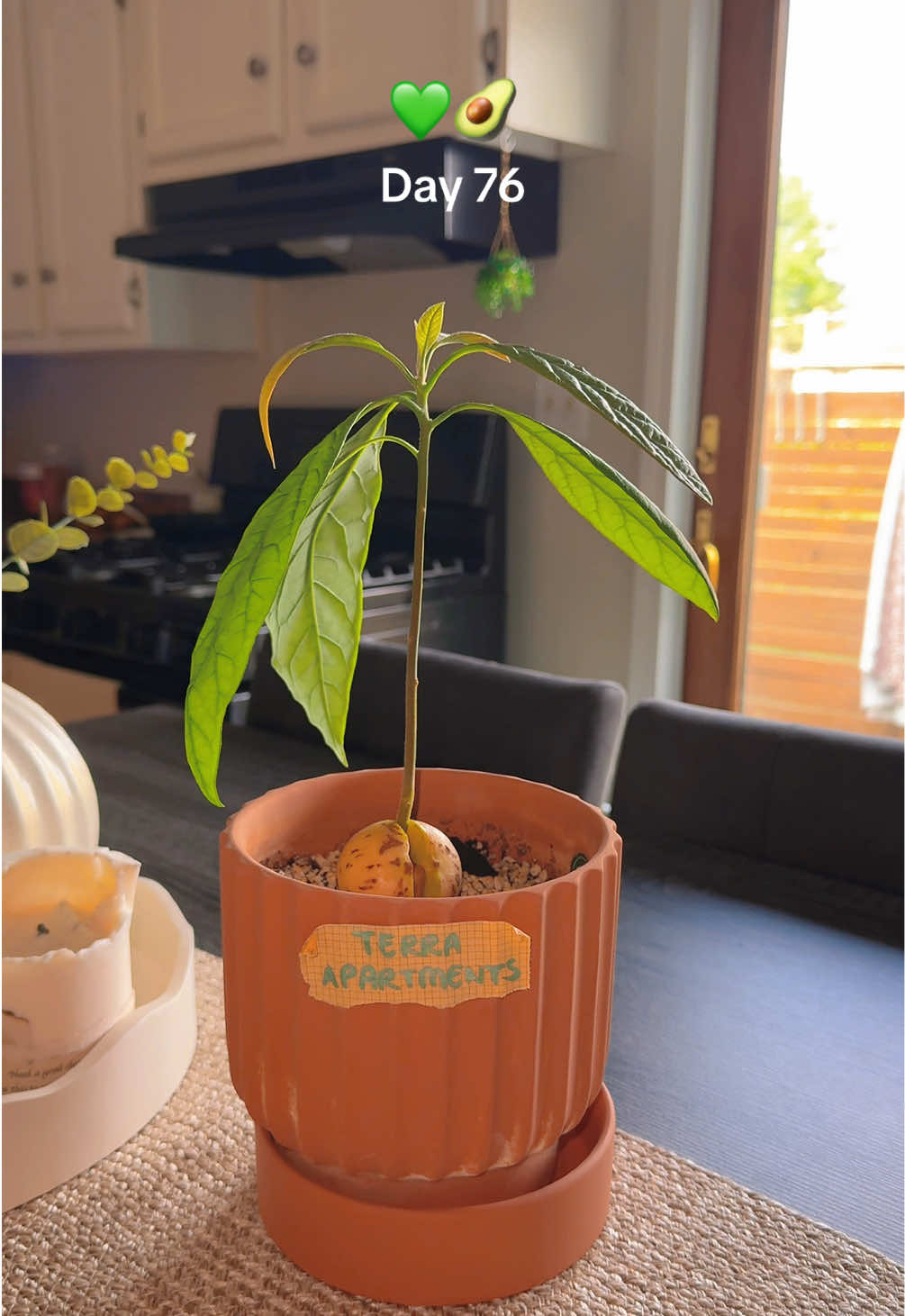 @Niki - Ava’s Mom 🥑🌱