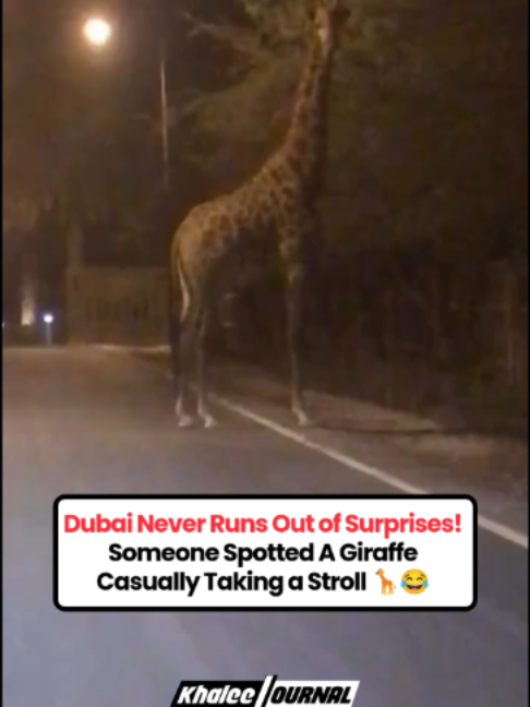 @Khaleej Journal