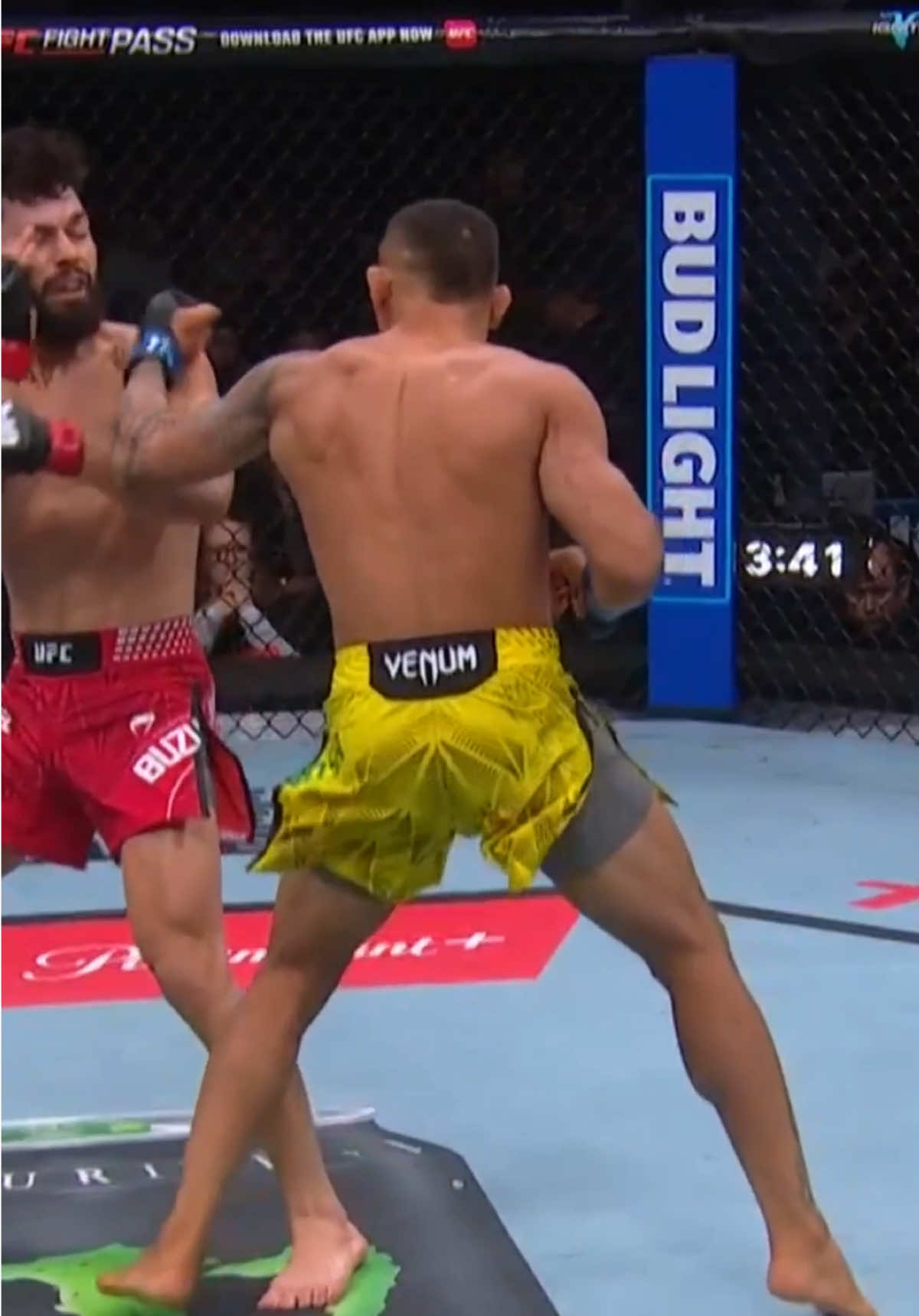@DanaWhite