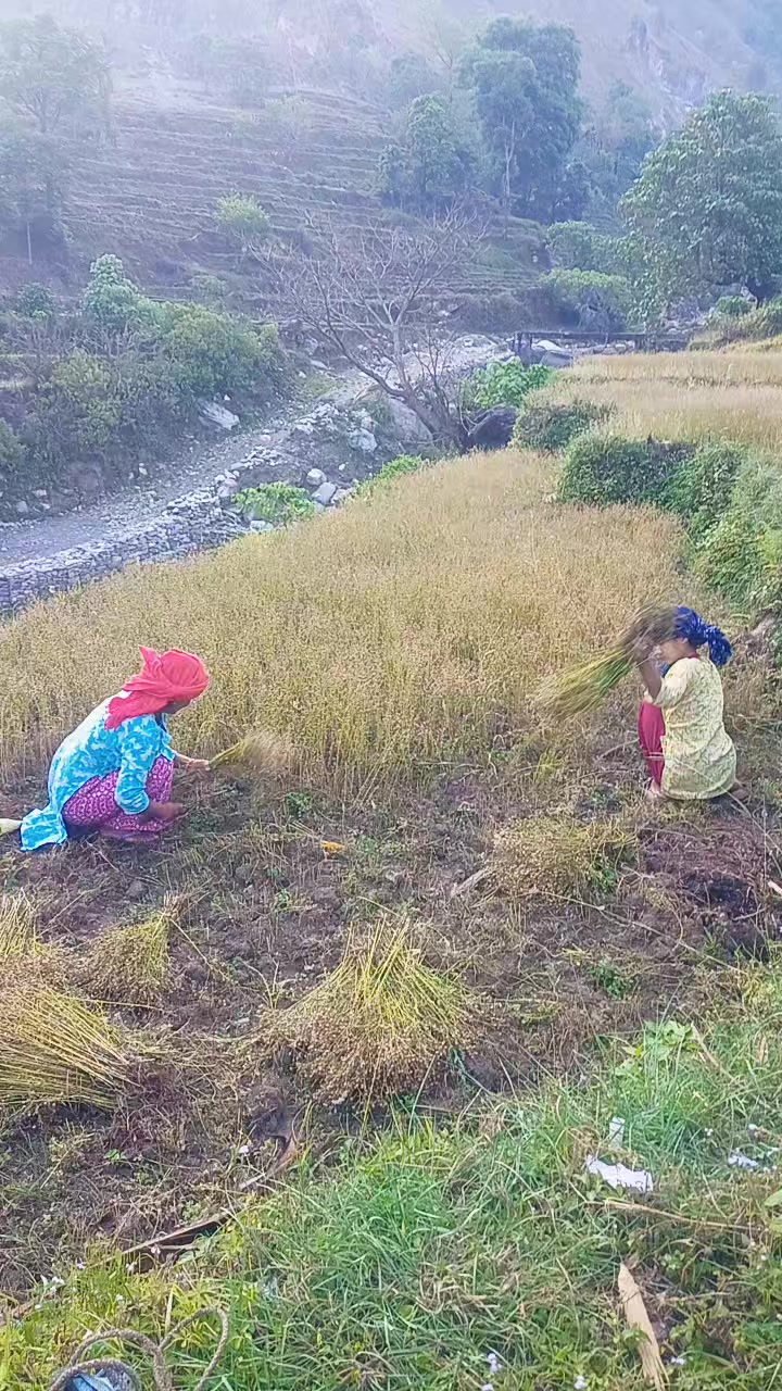 @Ahilya Bohara