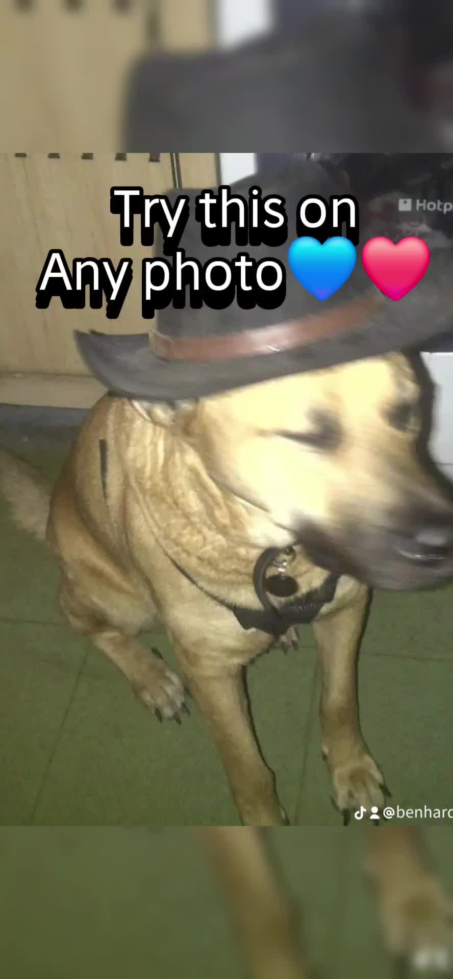 @AlphaShadowolfietty