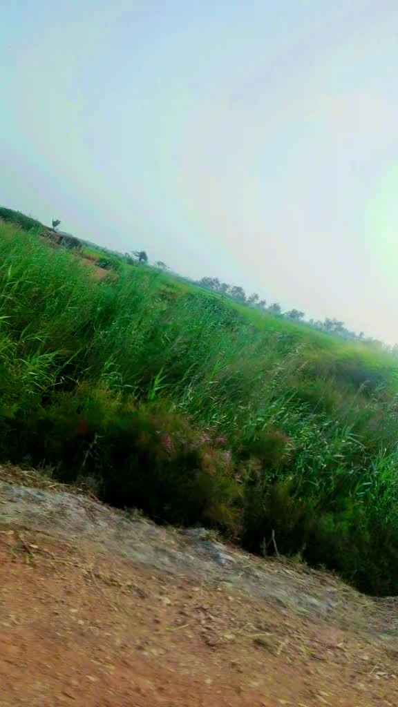@علی محمد سلمان خیل