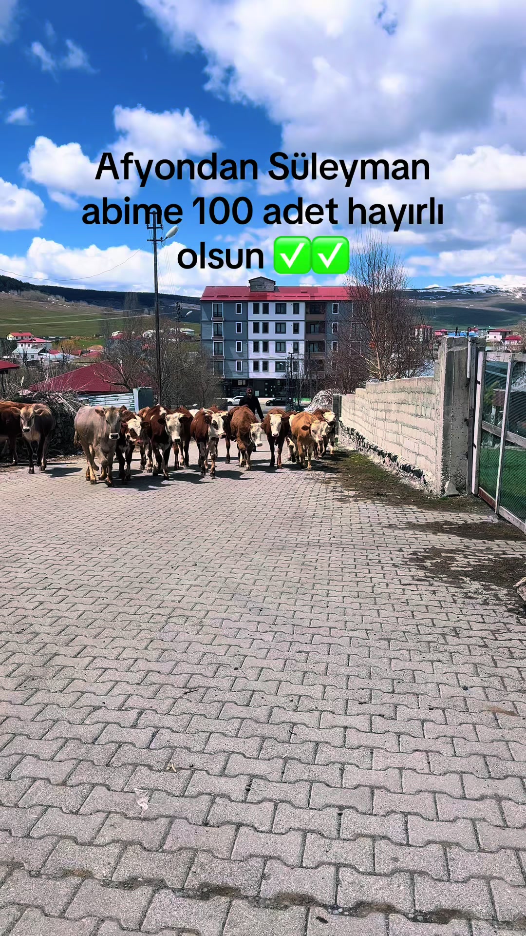 @ugurcanesrabalta