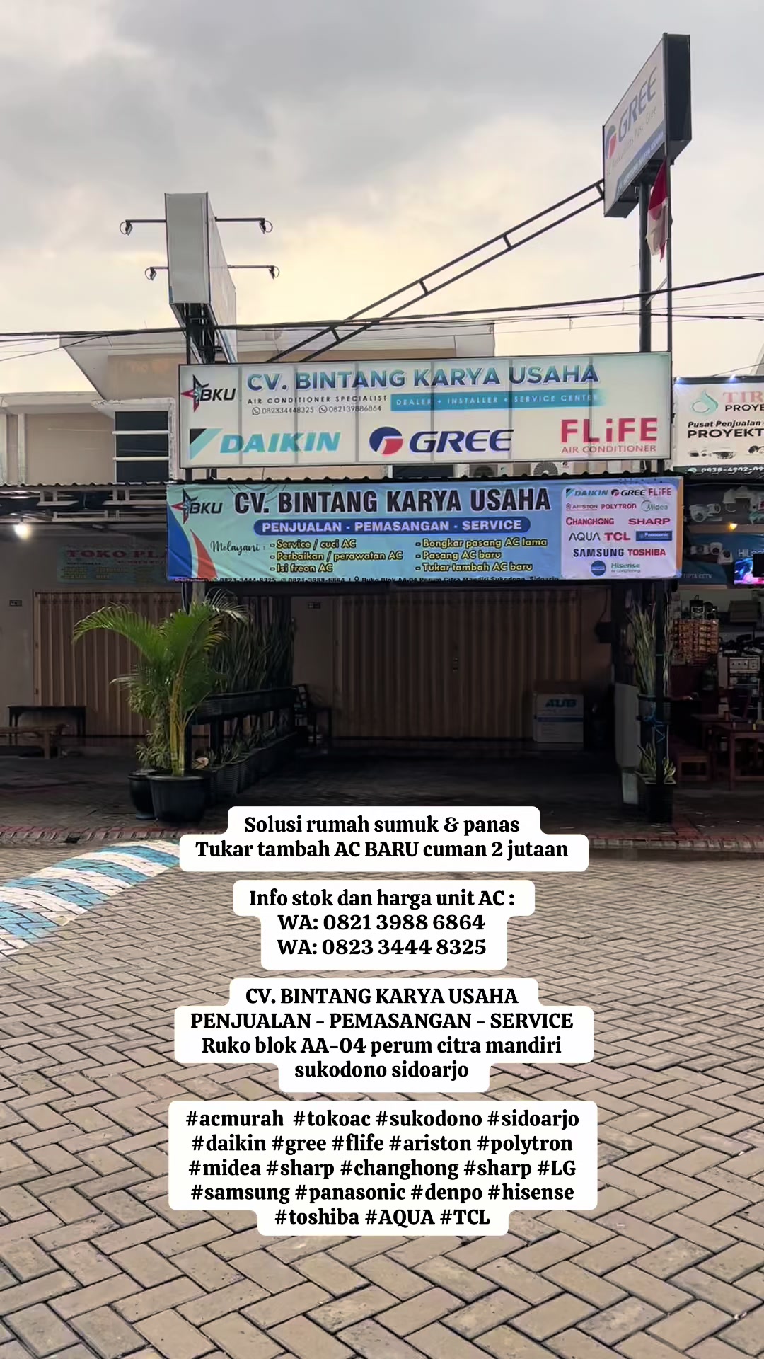 @arie cv.bku