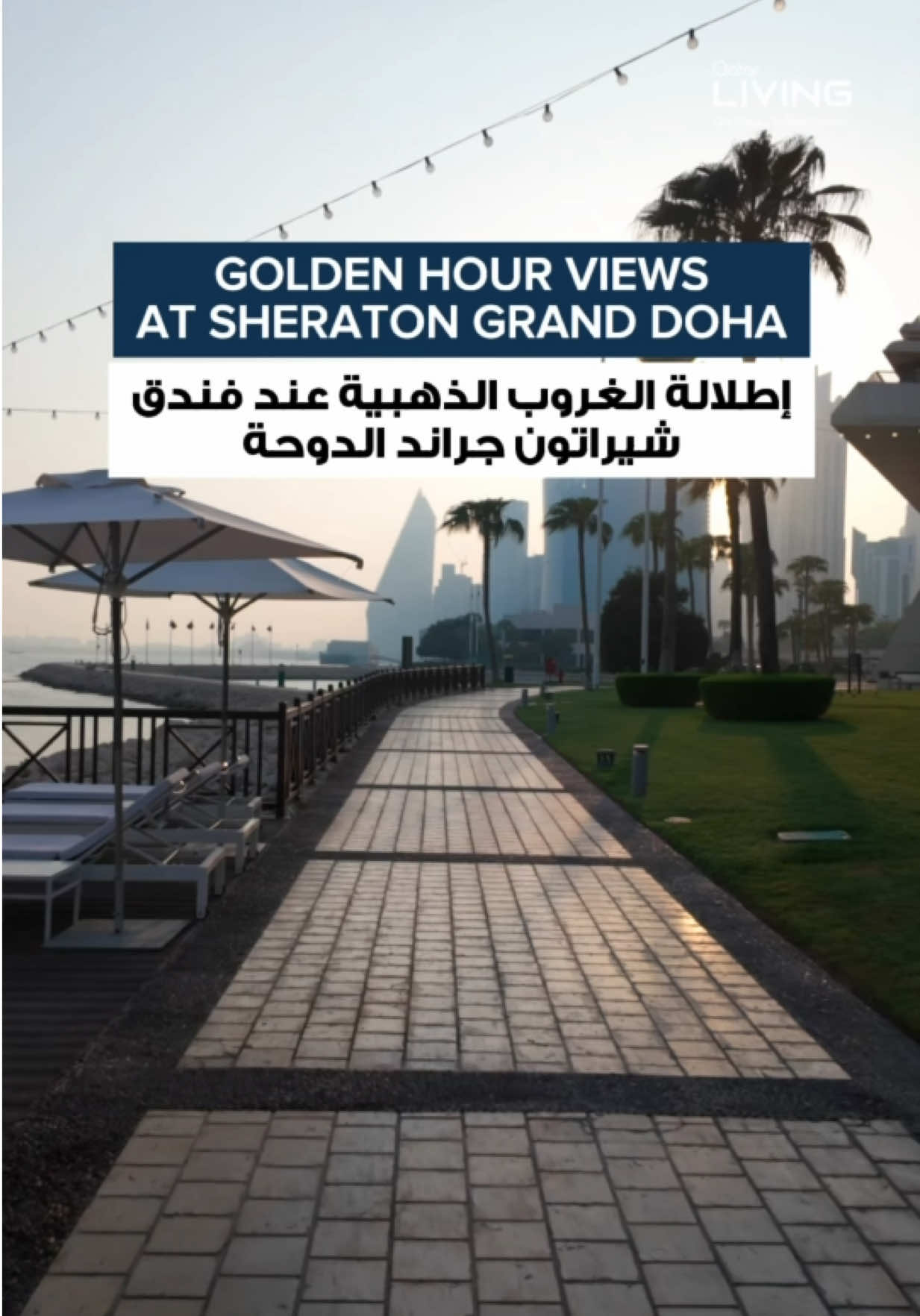 @Qatar Living