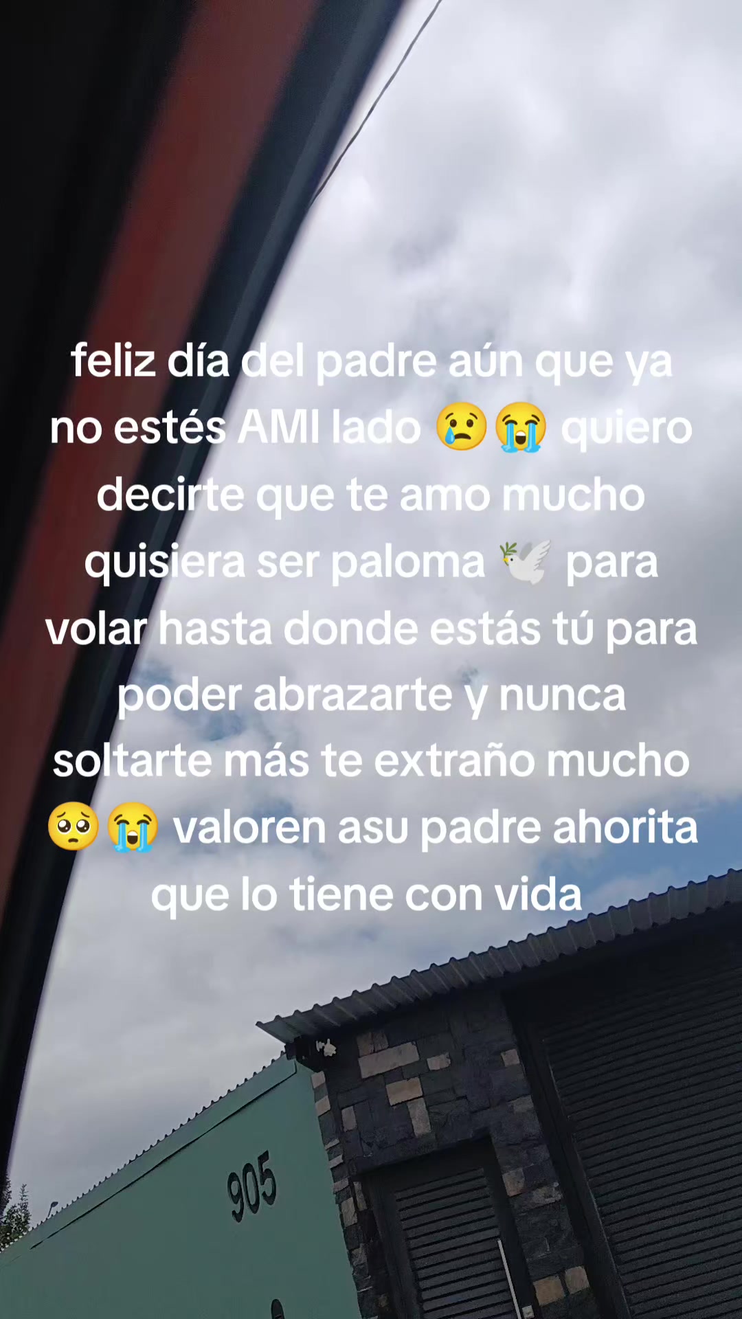 @flor de loto