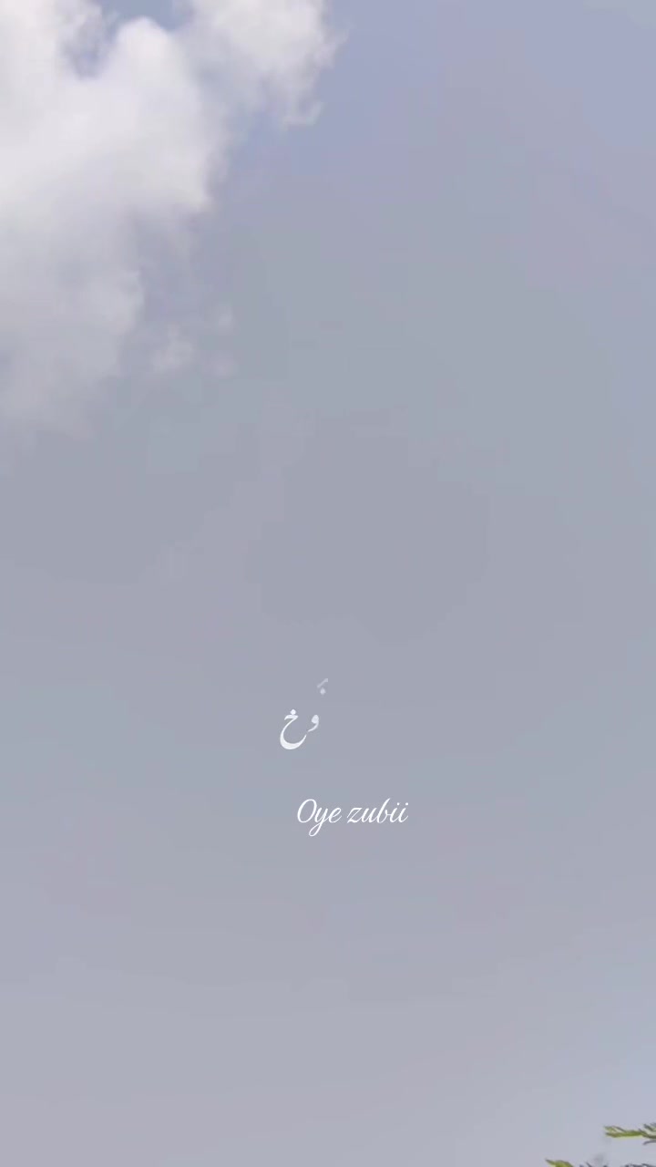 @𝒐𝒚𝒆_Zubii🐺