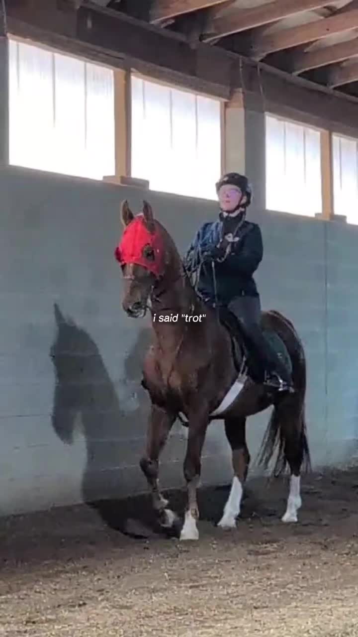 @saddleseat_4life