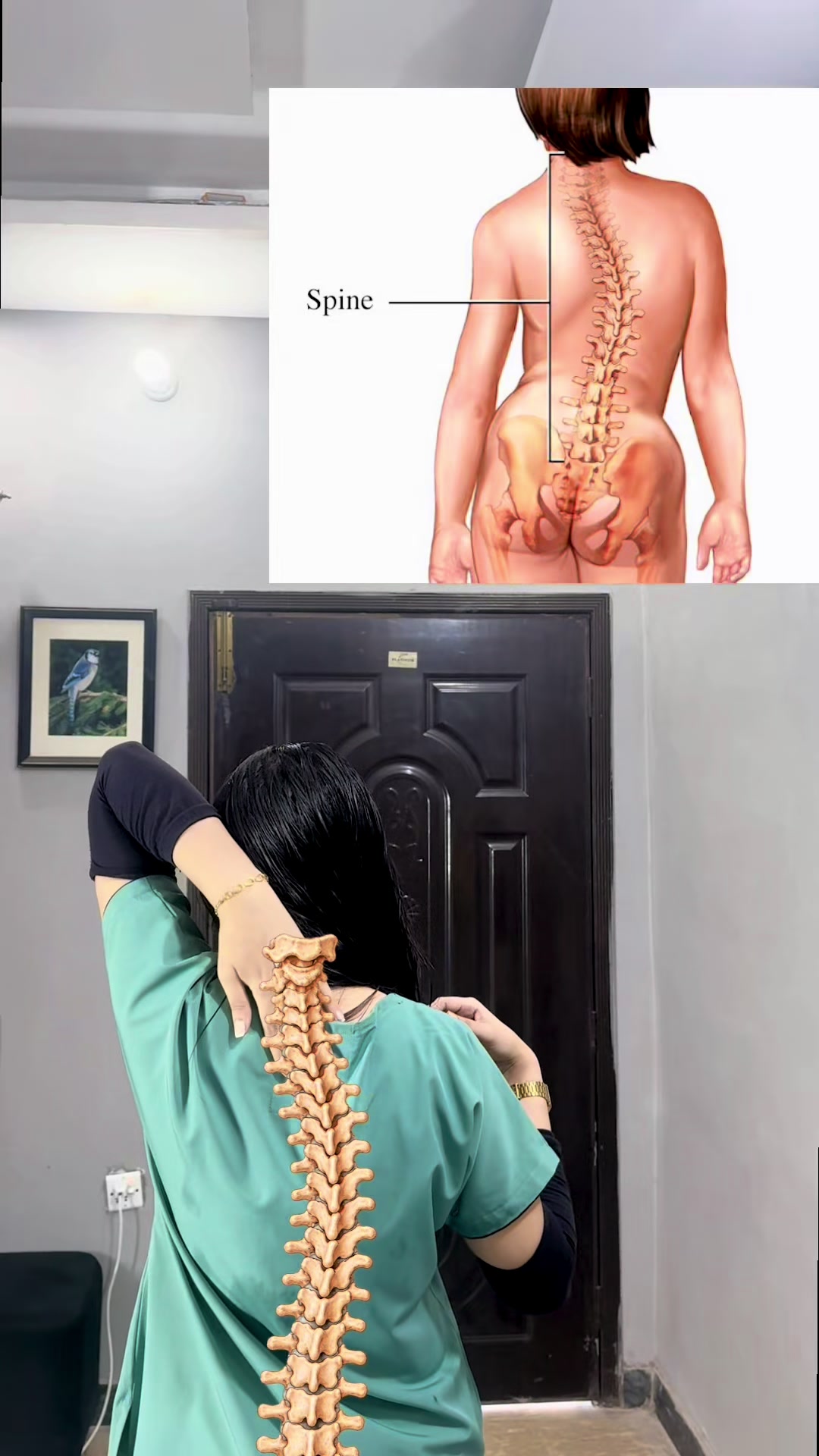 @Dr. Minahil Riaz | Physio