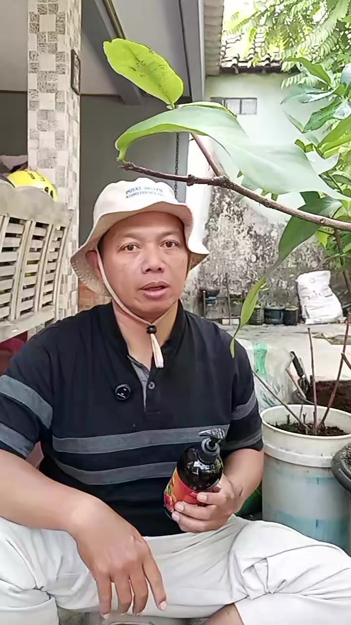@Berkebun Berkah