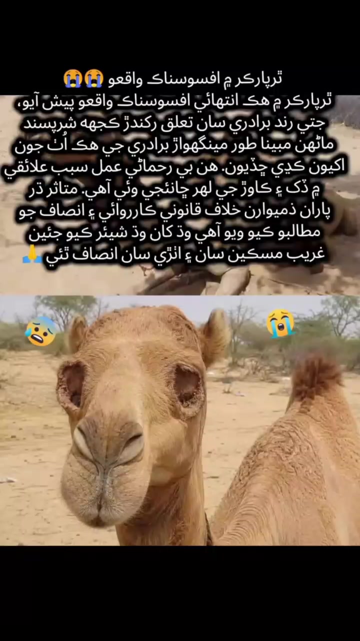 @فوزیا۔ ۔۔۔۔۔۔سومرو۔۔