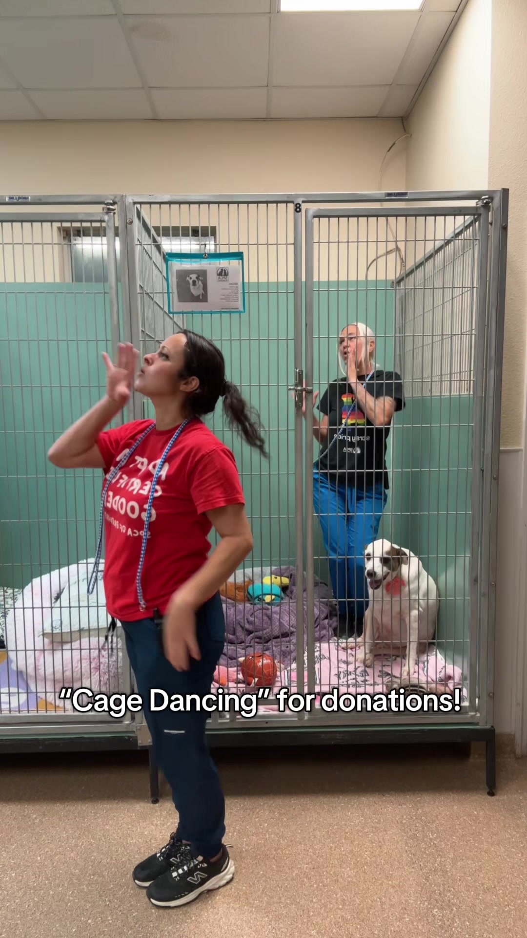 @2vettechs