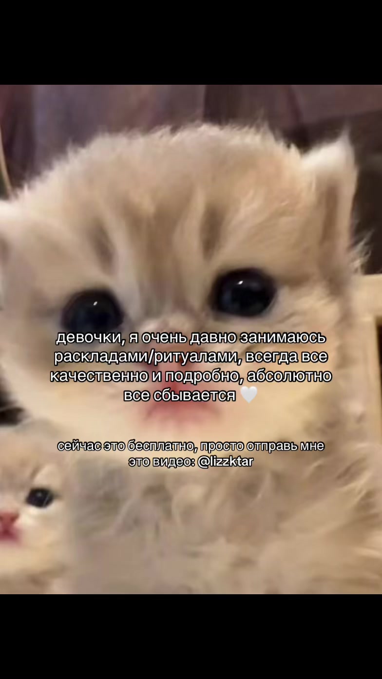 @prtarr0tka