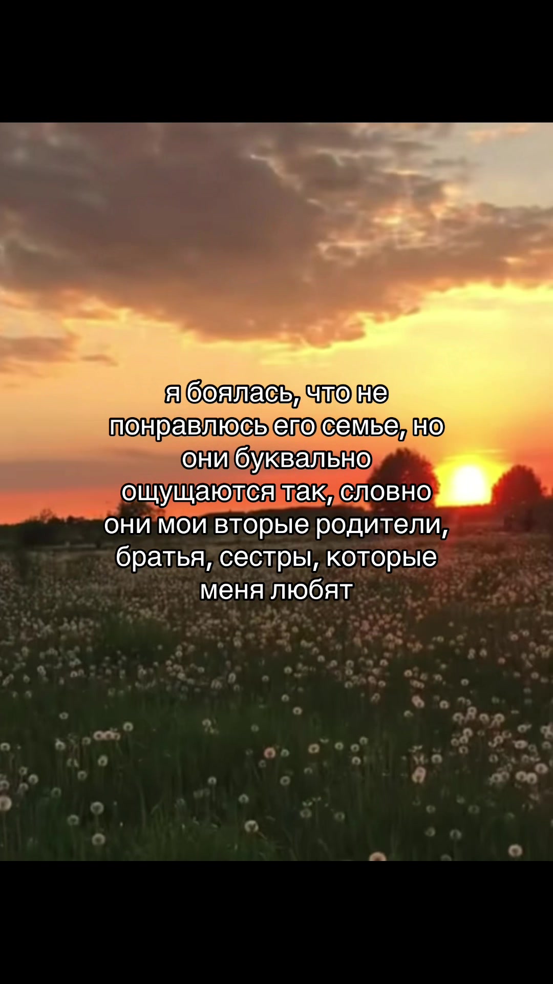 @vedlis