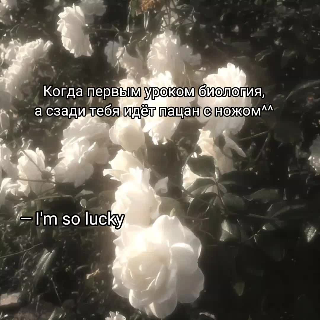 @nass.yas🪽